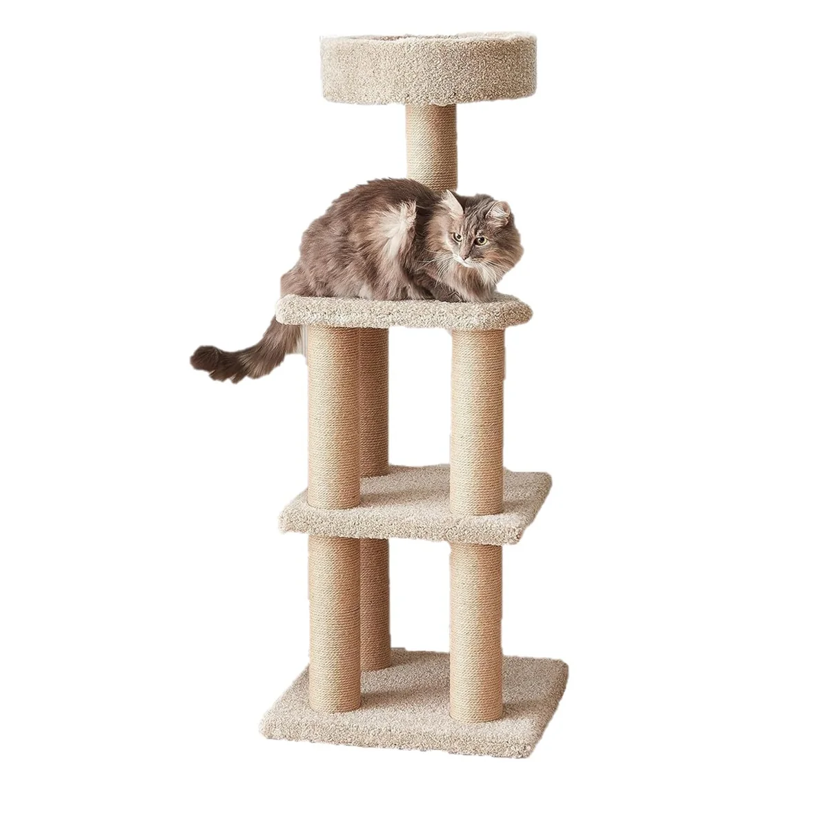 Amazon Basics Cat Tree