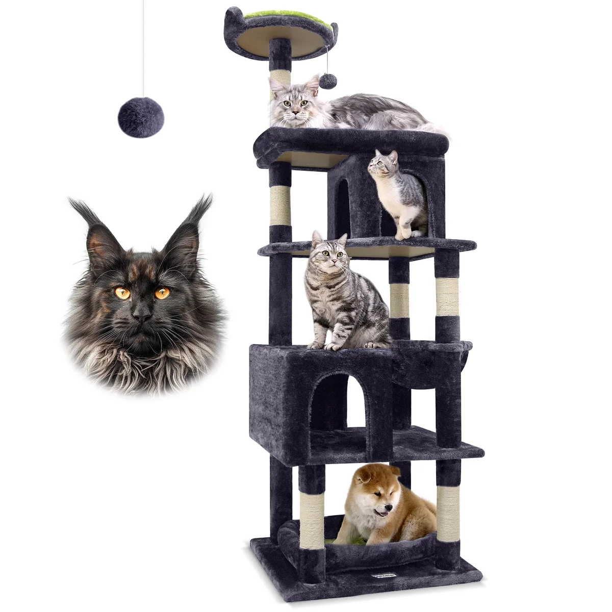Globlazer Heavy Duty Cat Trees for Large Cats Review